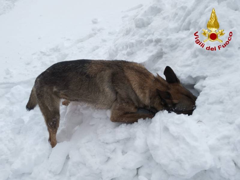 Sepolti dalla neve in Val di Luce: ma è solo un’esercitazione