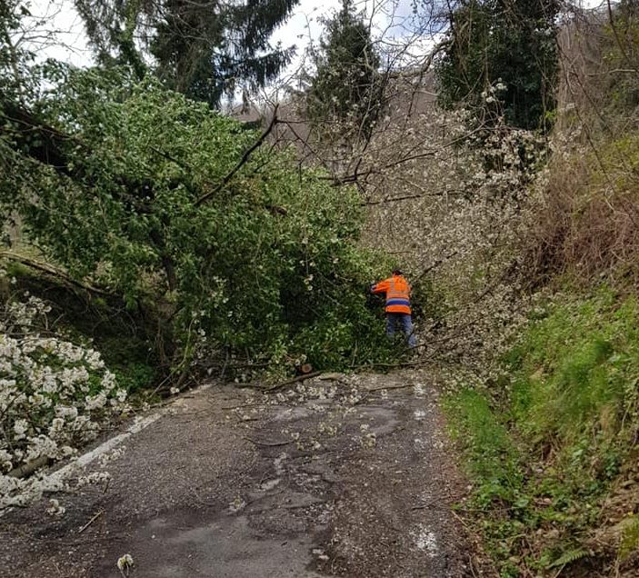 Allerta meteo per vento, i primi danni a Pistoia