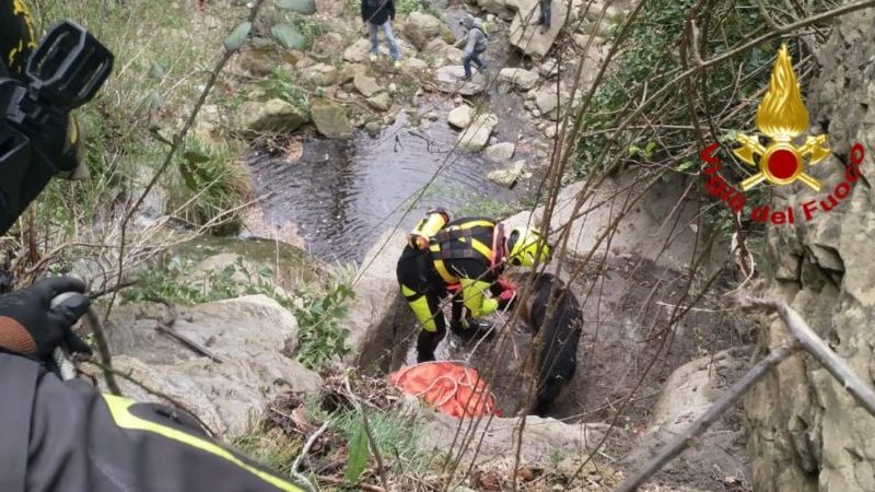 Pastore tedesco scomparso, salvato dai Vigili del fuoco