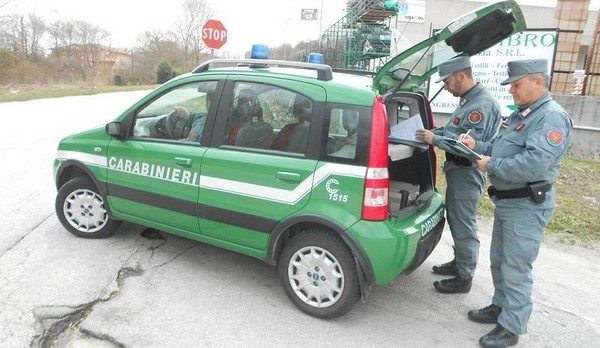 Ruba energia elettrica: colto in fragranza di reato