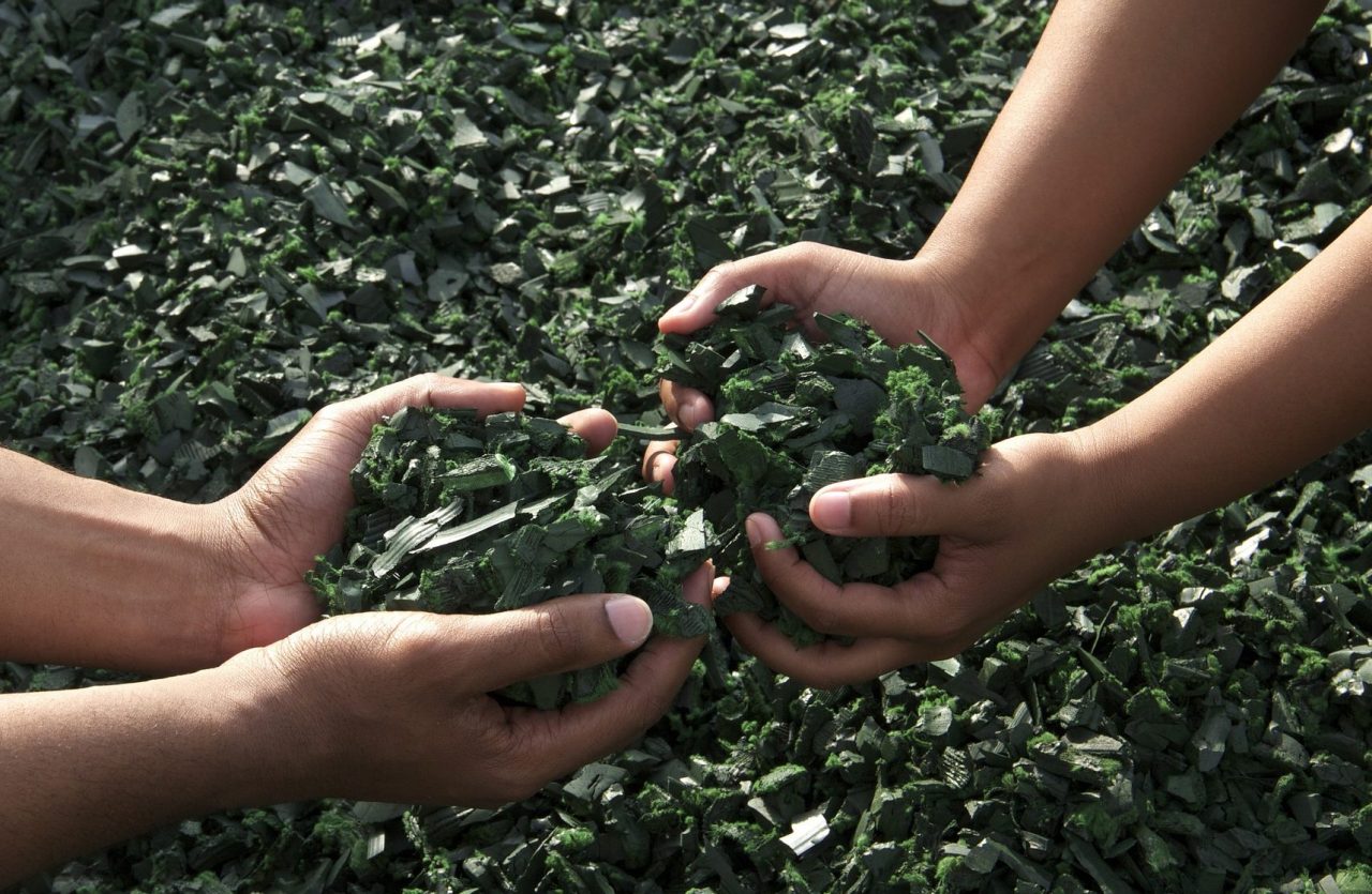 Scuola primaria Ulignano, a lavoro per la bandiera verde