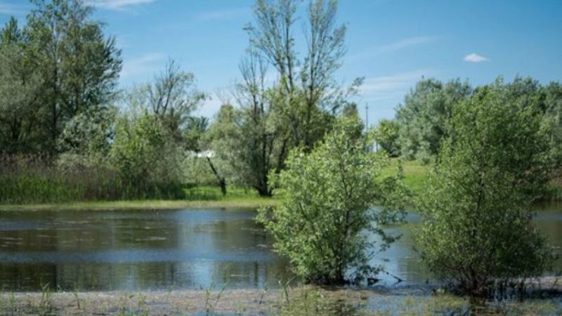 Primo maggio al Parco fluviale