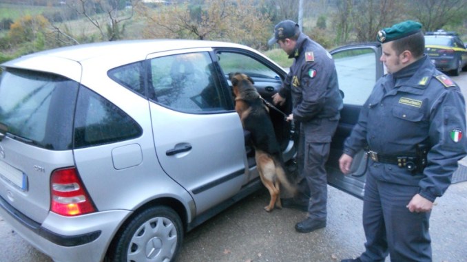 Su 50 persone sei «drogate»