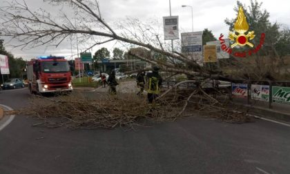 Dopo la pioggia tocca al vento: allerta gialla per il 3 dicembre
