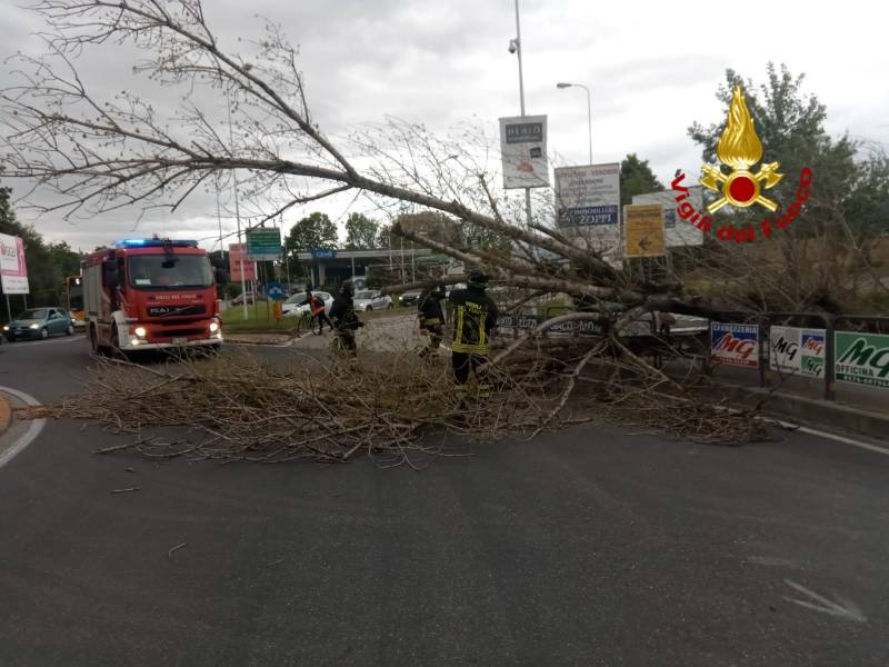 Dopo la pioggia tocca al vento: allerta gialla per il 3 dicembre