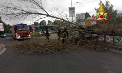 Vento forte: torna la paura danni