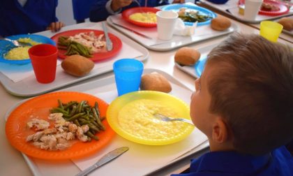 Salmonellosi nel fiorentino, riprende il servizio mensa nelle scuole dopo i controlli dell'Asl