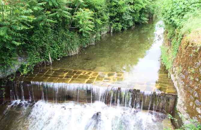 Wwf di Pistoia e di Prato: “Gravi conseguenze ambientali con gli sversamenti nel torrente Brana”