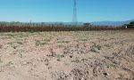 L'allarme di Coldiretti: "La Toscana è più fragile"