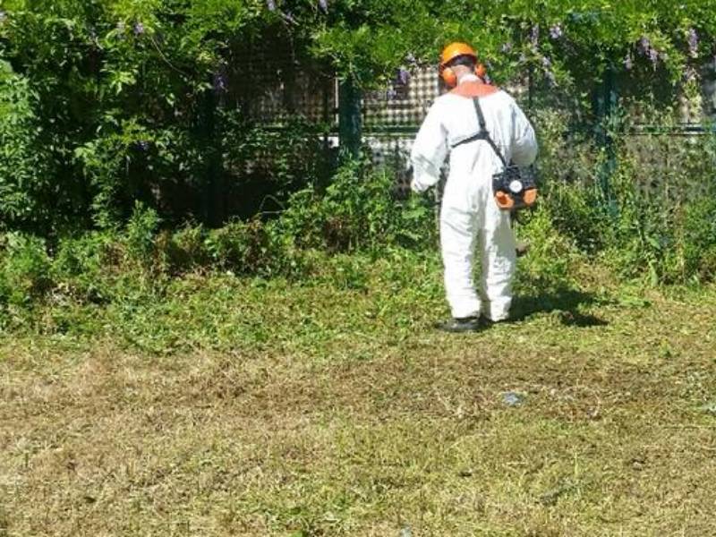 Taglio dell’erba, lunedì prossimo inizia la pulizia