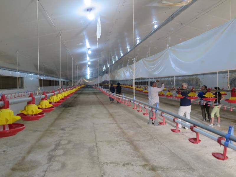 Veterinari della Asl nei campi profughi Saharawi