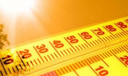 Firenze, torna l'allerta arancione per il caldo: prevista massima di 36 gradi