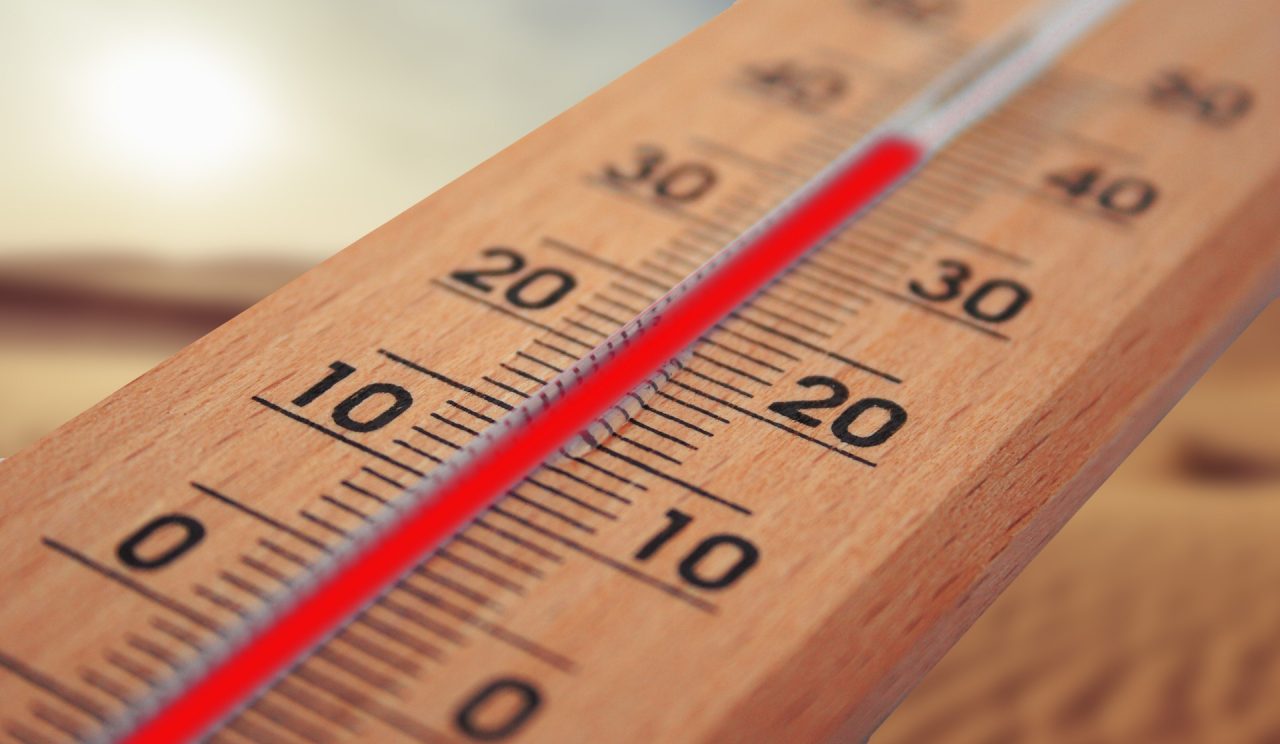 Caldo e bambini, ecco come proteggerli. I consigli del dottor Agostiniani