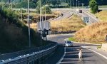 Montone sulla Siena-Grosseto, inseguito e bloccato dalla Polizia FOTO