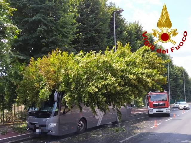 Albero cade su un pullman a Firenze