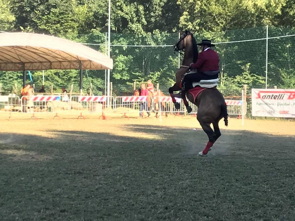 Montepiano Country: divertimento per grandi e piccini nel fine settimana