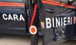 Ruba il portafoglio ed utilizza la carta di credito per pagamenti ma viene beccato di Carabinieri: denunciato 48enne