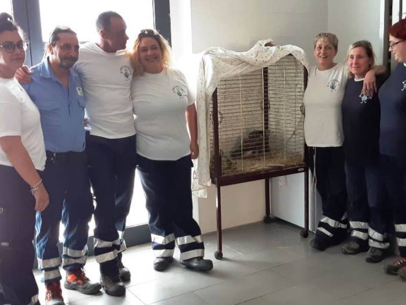 L’ex macello diventa luogo di accoglienza e cura per animali