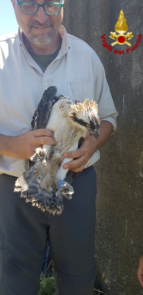 PHOTO-2019-07-17-12-06-12