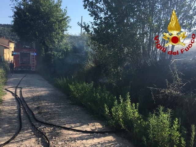 A fuoco 5mila metriquadri di oliveta e vegetazione