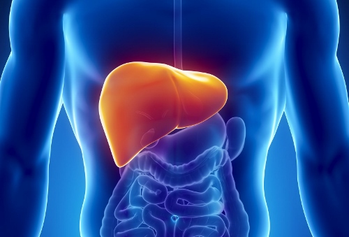 Epatite C, al via una nuova campagna per sconfiggere il virus