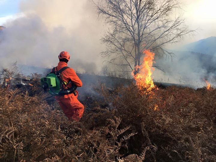 Incendi boschivi, periodo a rischio prorogato al 15 settembre
