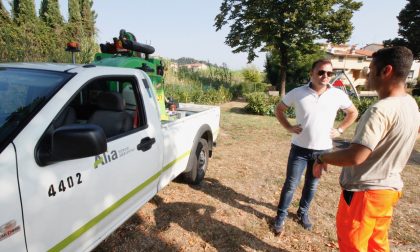 Stop alle zanzare: continua l'impegno sul territorio comunale