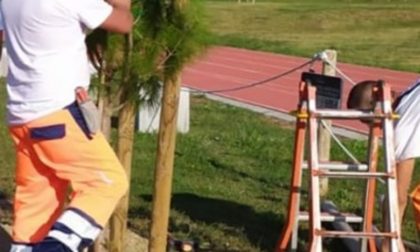Laudato sì – Un albero in più: Calenzano aderisce