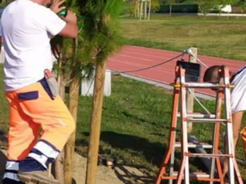 Laudato sì – Un albero in più: Calenzano aderisce