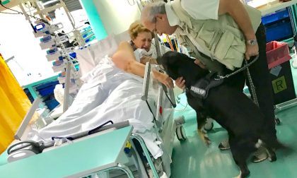 All'ospedale in condizioni disperate: salvata, oggi riabbraccia il suo cane