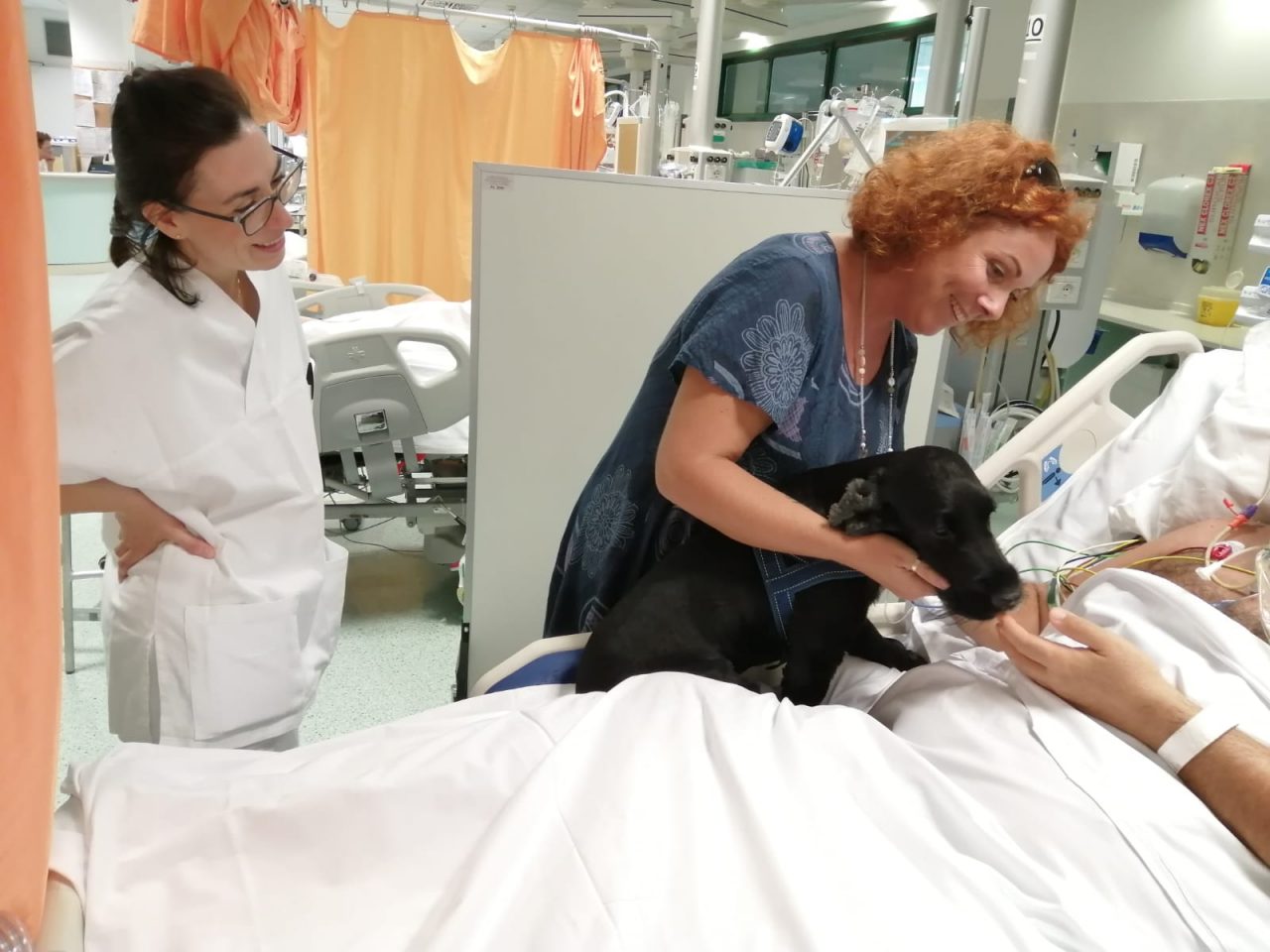 E’ in terapia intensiva: gli fa visita il suo cocker “Nello”