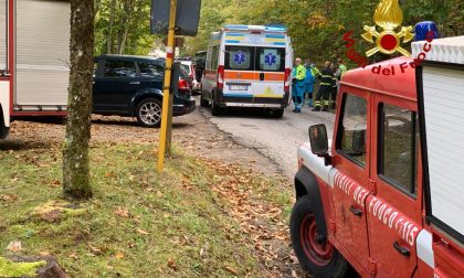 Si sente male nel bosco, intervengono i Vigili del fuoco