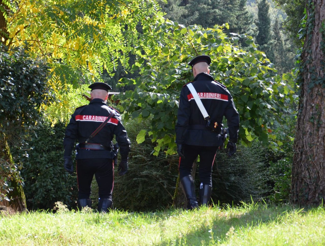 Mistero a Noceto, trovato il cadavere in decomposizione di un uomo nel bosco