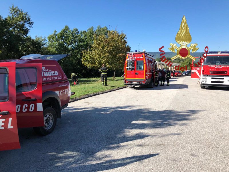 Disperso a Bilancino, Vigili del Fuoco in azione