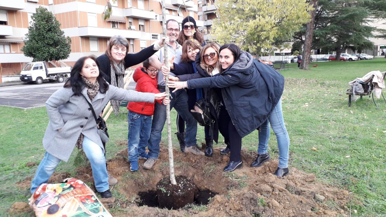 Civiche Insieme pianta due nuovi alberi a Poggibonsi