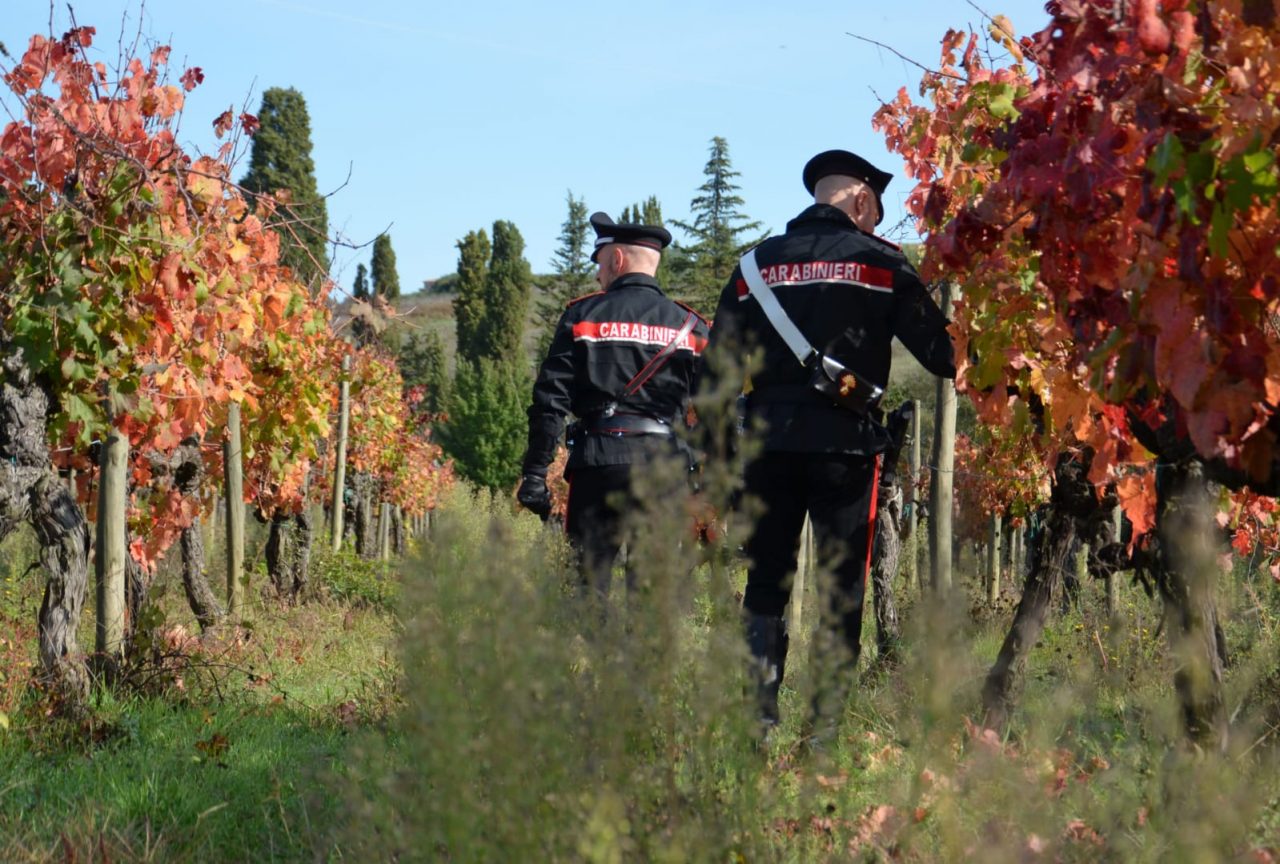 Sequestro etichette false di vino ed olio nel Chianti