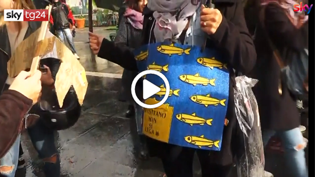 Sardine movimento a macchia di leopardo fra piazze e polemiche VIDEO