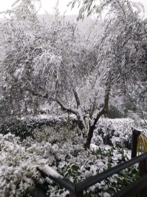 Prima neve della stagione in Vallata