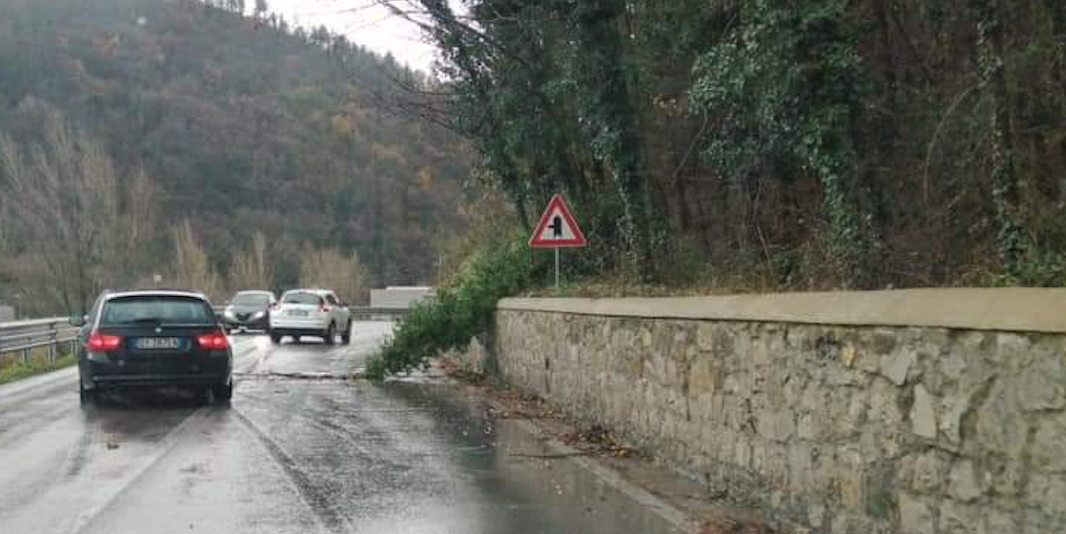 Cade un albero sulla SR325