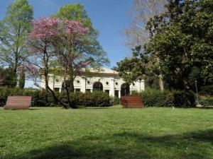 Scoppia incendio all'interno del parco di villa Strozzi