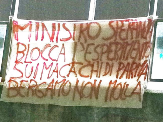 Macachi liberi torna a protestare: anche a Firenze uno striscione contro la ricerca