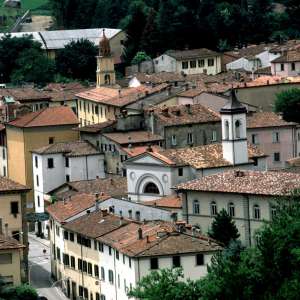 Un positivo al raduno hippie in Mugello, isolato un intero bosco dal sindaco di Marradi