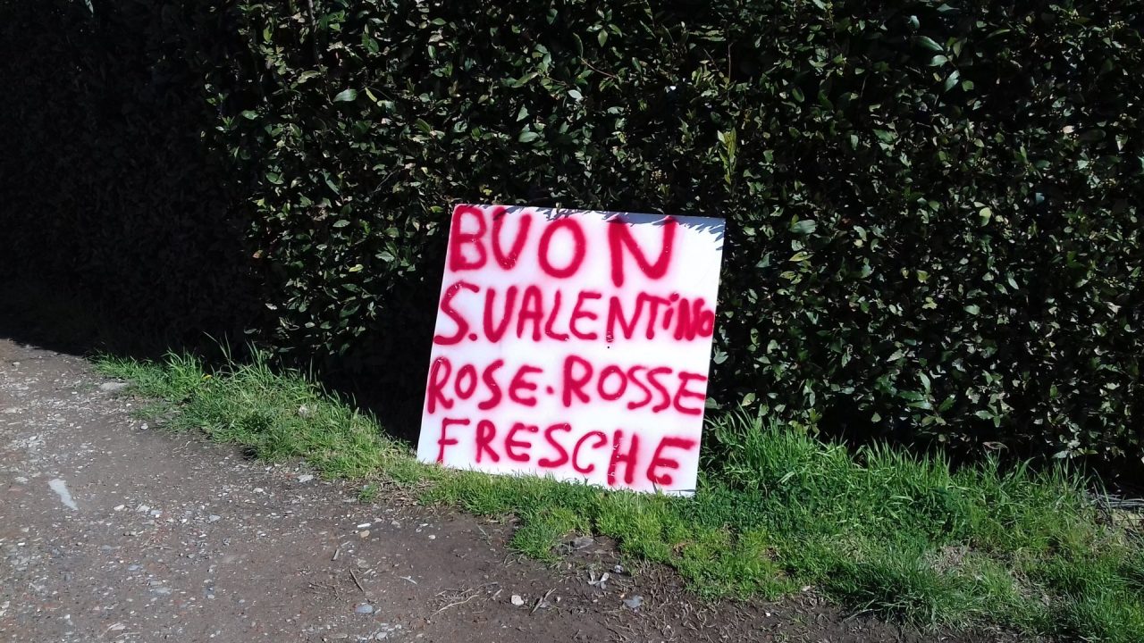 Vendita abusiva di fiori e peluche in via Barberinese