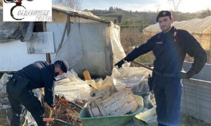 Blitz in un'azienda agricola: sfruttamento della manodopera cinese