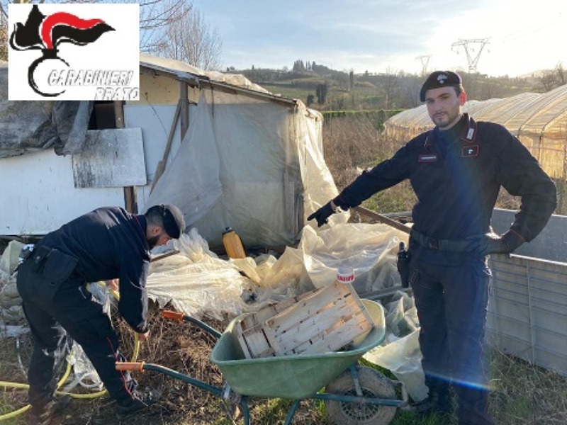 Blitz in un’azienda agricola: sfruttamento della manodopera cinese