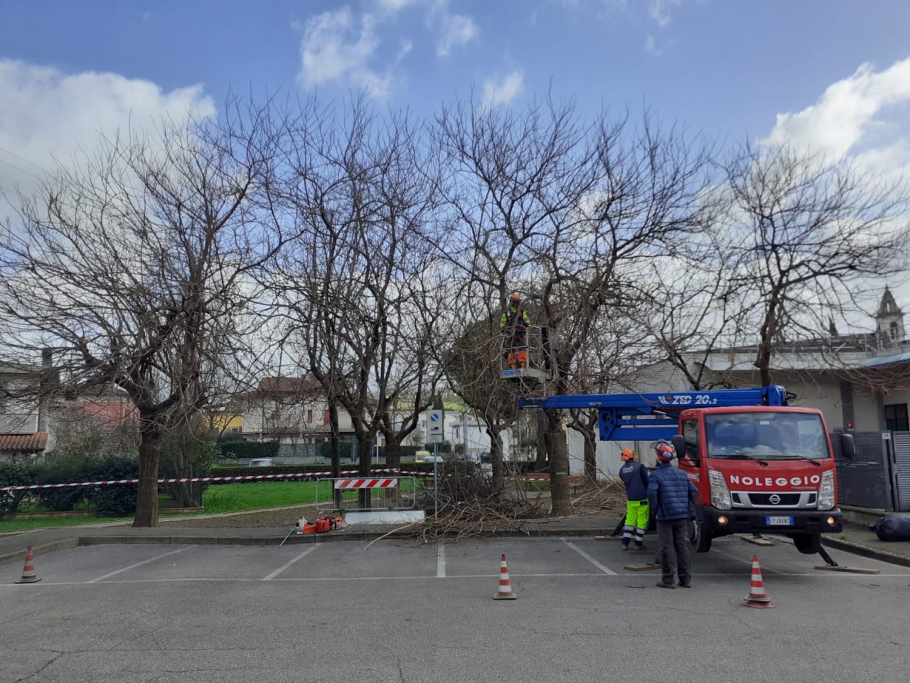 Al via gli interventi di potatura di alcuni alberi