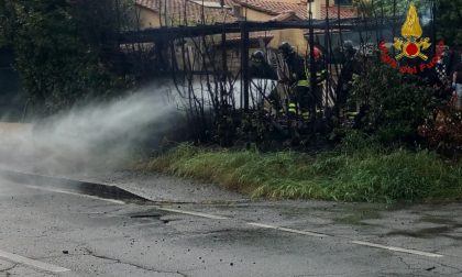 A fuoco legnaia in un vivaio agricolo