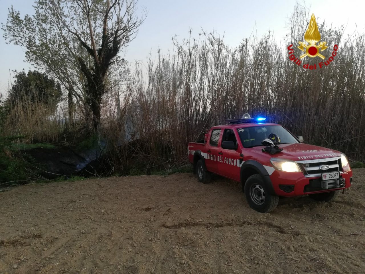 A fuoco 1500 mq di canneto e sterpaglie