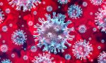 Coronavirus, le donne meno colpite degli uomini: differenze di genere sia ormonali che genetiche?