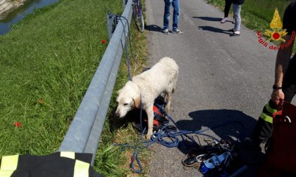 Cani da salvare e incendio in cucina: doppio intervento dei vigili del fuoco a Prato